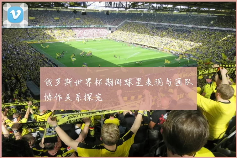 俄罗斯世界杯期间球星表现与团队协作关系探究