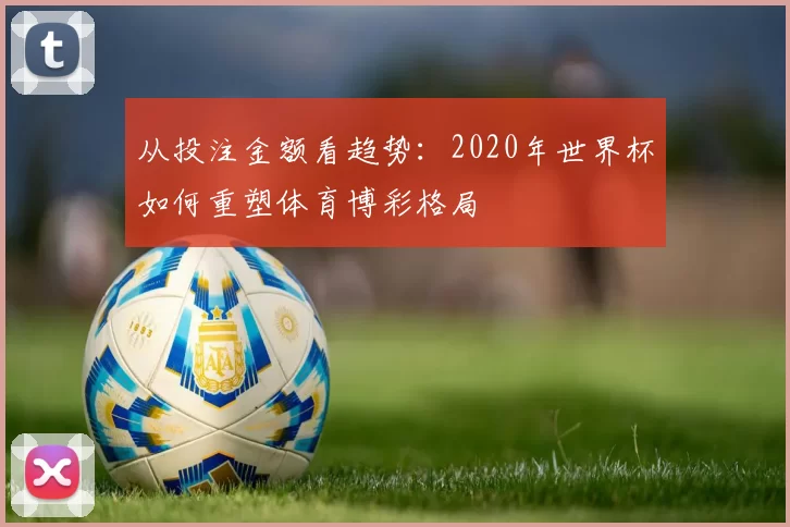 从投注金额看趋势:2020年世界杯如何重塑体育博彩格局