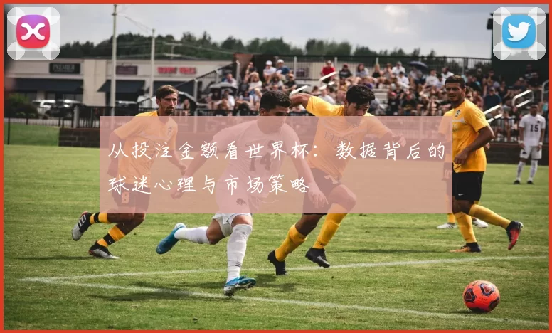 从投注金额看世界杯：数据背后的球迷心理与市场策略