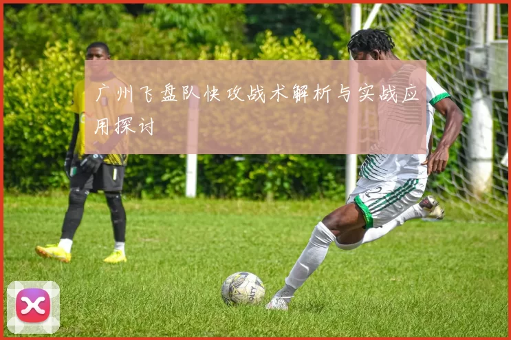 广州飞盘队快攻战术解析与实战应用探讨
