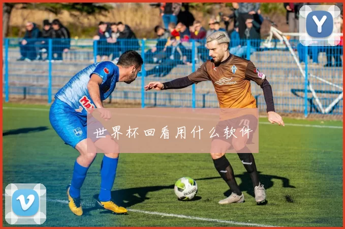 世界杯回看用什么软件