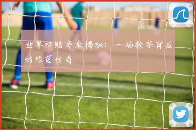 世界杯赔率表揭秘：一场数字背后的绿茵传奇