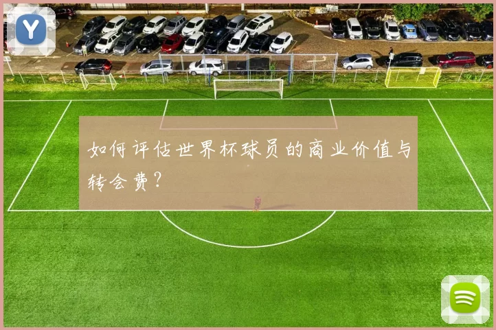如何评估世界杯球员的商业价值与转会费？