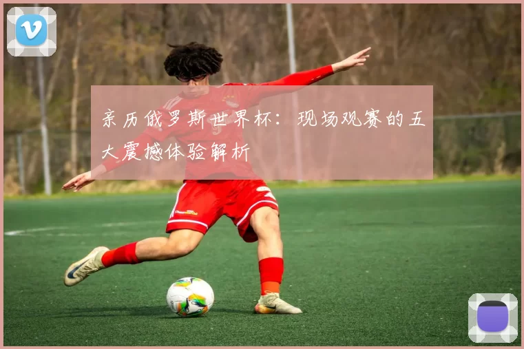 亲历俄罗斯世界杯:现场观赛的五大震撼体验解析