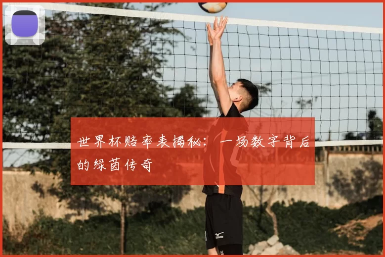 世界杯赔率表揭秘：一场数字背后的绿茵传奇